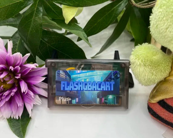GBA flashcard